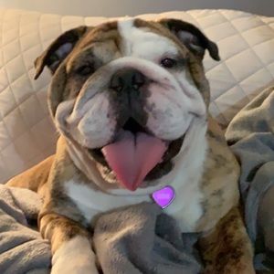 Meet your Posher, Brent